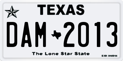 TX license plate DAM2013