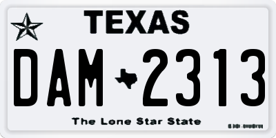 TX license plate DAM2313