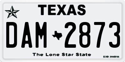TX license plate DAM2873