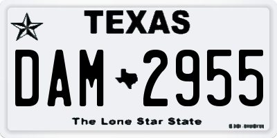 TX license plate DAM2955
