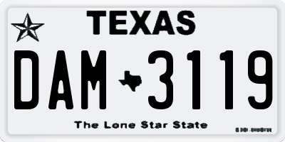 TX license plate DAM3119