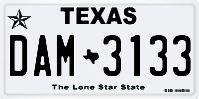 TX license plate DAM3133