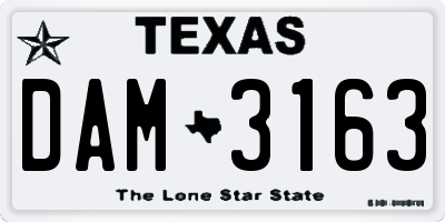 TX license plate DAM3163