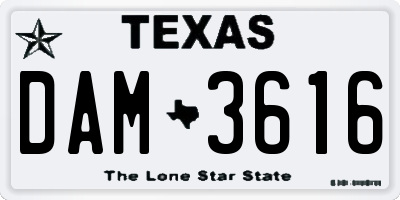 TX license plate DAM3616