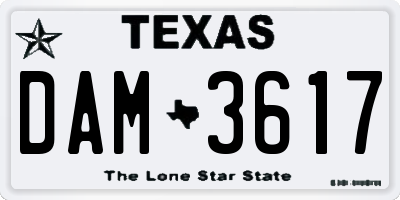 TX license plate DAM3617