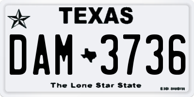 TX license plate DAM3736