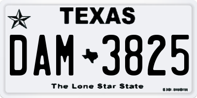TX license plate DAM3825