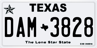 TX license plate DAM3828