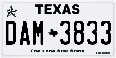 TX license plate DAM3833