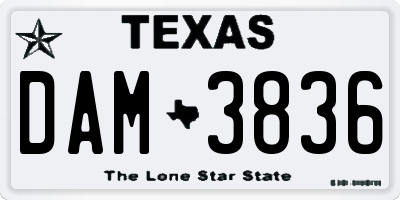 TX license plate DAM3836