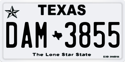 TX license plate DAM3855