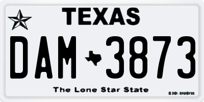 TX license plate DAM3873