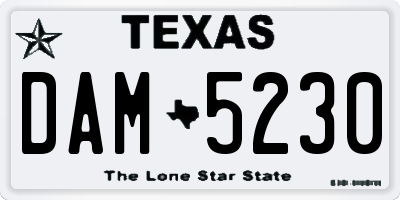 TX license plate DAM5230