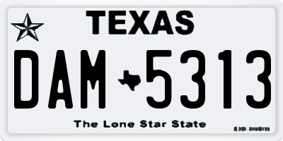TX license plate DAM5313