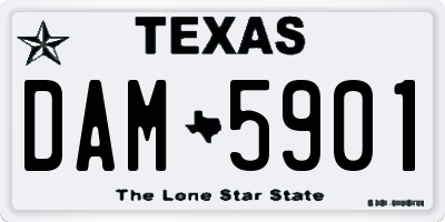 TX license plate DAM5901