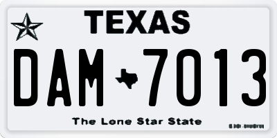 TX license plate DAM7013