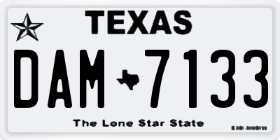 TX license plate DAM7133