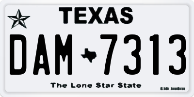 TX license plate DAM7313