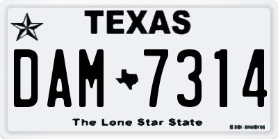 TX license plate DAM7314