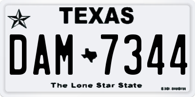 TX license plate DAM7344