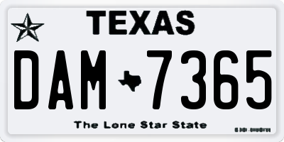 TX license plate DAM7365