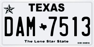 TX license plate DAM7513