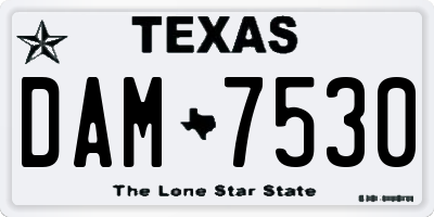 TX license plate DAM7530