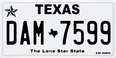 TX license plate DAM7599