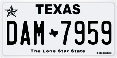 TX license plate DAM7959