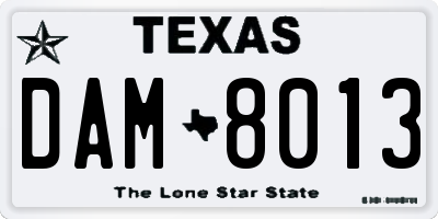 TX license plate DAM8013