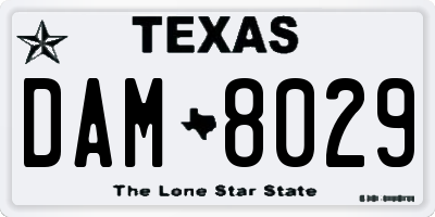 TX license plate DAM8029