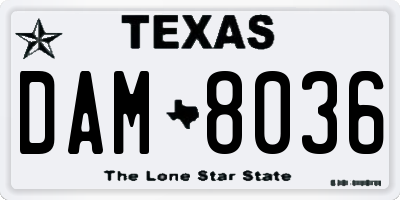 TX license plate DAM8036