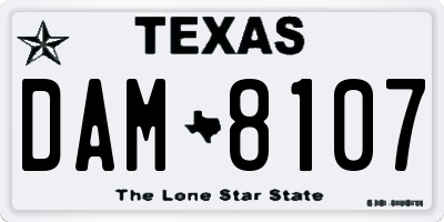 TX license plate DAM8107