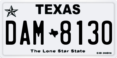 TX license plate DAM8130
