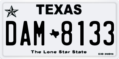 TX license plate DAM8133