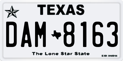 TX license plate DAM8163