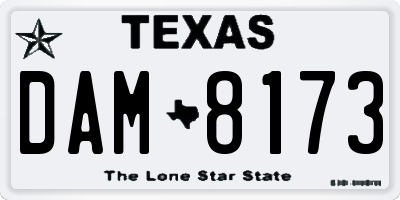 TX license plate DAM8173