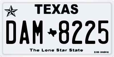 TX license plate DAM8225