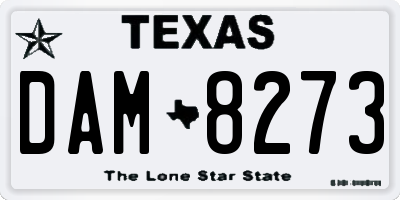 TX license plate DAM8273