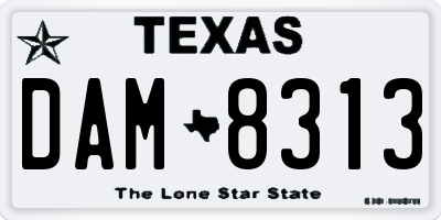 TX license plate DAM8313