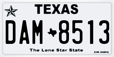 TX license plate DAM8513