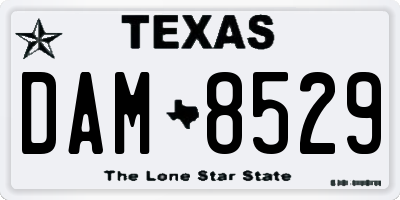 TX license plate DAM8529