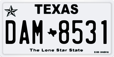 TX license plate DAM8531