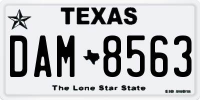 TX license plate DAM8563