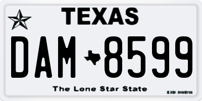 TX license plate DAM8599