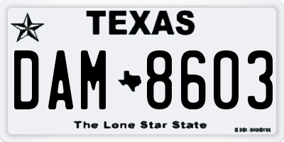 TX license plate DAM8603