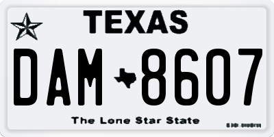 TX license plate DAM8607