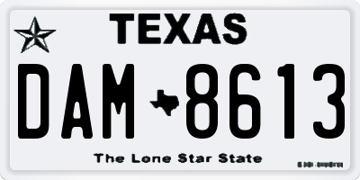 TX license plate DAM8613