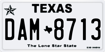 TX license plate DAM8713