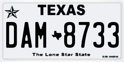 TX license plate DAM8733